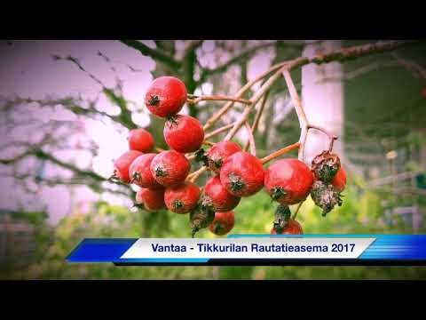 Vantaa Tikkurilan rautatieasema 2017