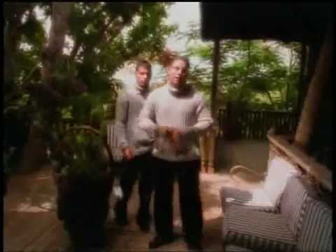 Las 9 Plagas - Baby Rasta & Gringo, Wisin & Yandel, Las Guanabanas, Hector & Tito