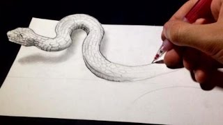 Drawing 3D optical Illusion The Snake  optical Illusions