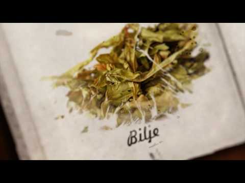 Najava - Zlatni savjeti