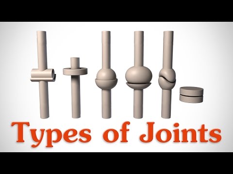 image-What is the common joint in the body?