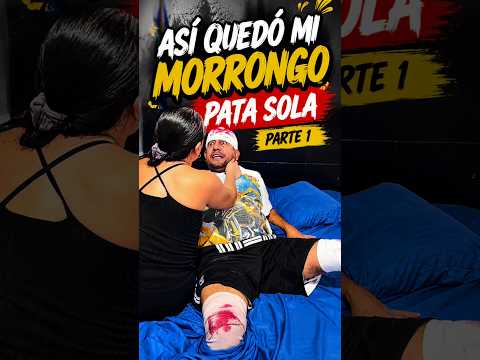 Morrongo el pata sola #humor #01tendencias #comedia #funny