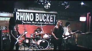 RB- Bird On A Wire Indy 2008