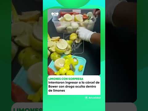 DROGA ESCONDIDA EN LIMONES: EL INSÓLITO INTENTO EN BOUWER