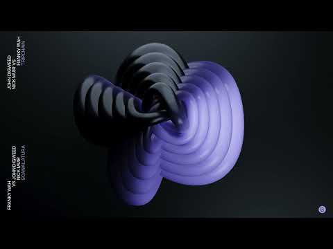 Franky Wah, John Digweed, Nick Muir - Scanalatura
