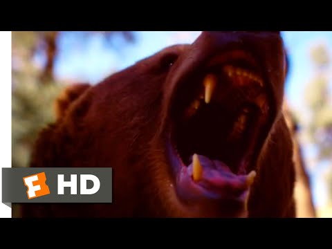 ブライトンロックの死体（2019年） - 熊襲シーン（8/8）｜Movieclips (Body at Brighton Rock (2019) - Bear Attack Scene (8/8) | Movieclips)