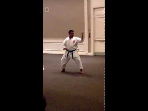 Kihon-Kata-ni William Linares Toronto Chito-Ryu Clinic Nov 4-2012