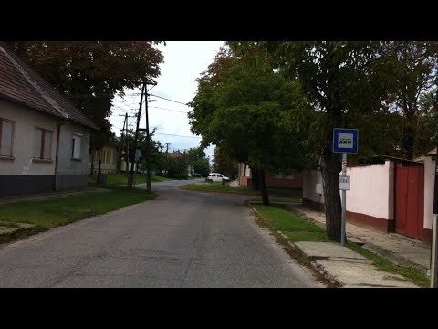 Baja 68-as járat; Déri sétány - Pásztor utca - Bara lakótelep - Déri sétány