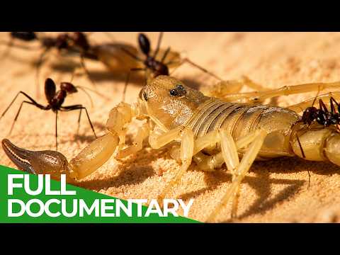 Extreme Nature: Earth s Wildest Frontiers