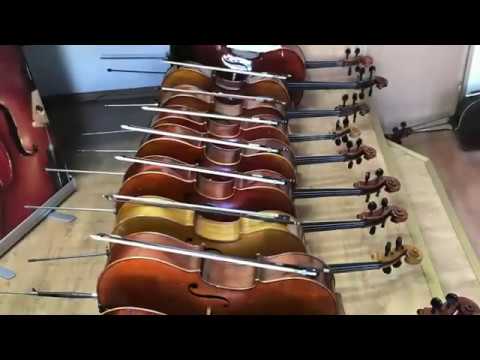 Wiolonczela. Film promocyjny Państwowej Szkoły Muzycznej I i II st. w Zduńskiej Woli.