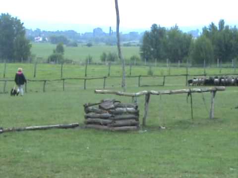 download lagu mp3 mp4 Rigolya, download lagu Rigolya gratis, unduh video klip Rigolya