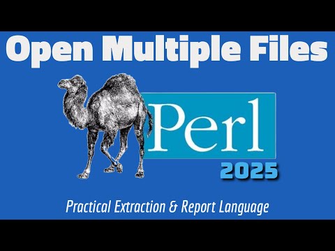 Master Perl File Handling: Read Many Text Files Fast!