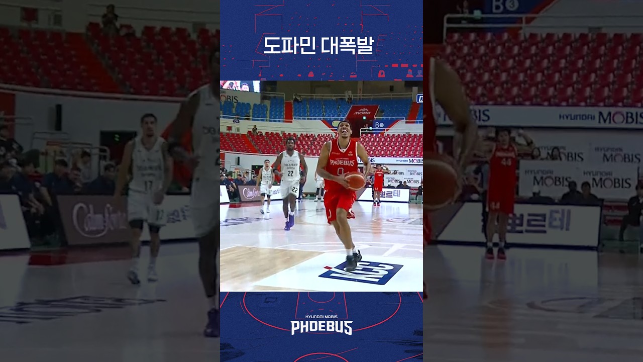 팀 하이라이트 #현대모비스 #프로농구 #kbl #DB