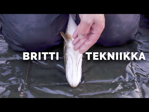 Hauen irrotus koukusta – PRO-TEKNIIKKA