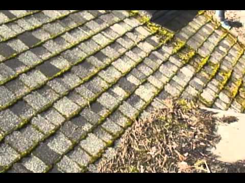 Copper / Zinc Strips Failure - Roof Life of Oregon -