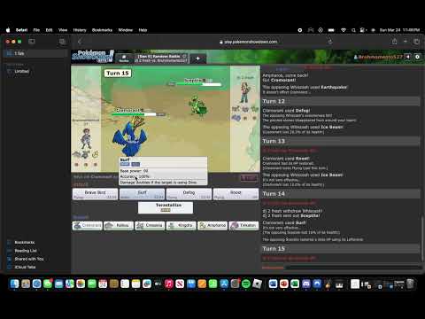 Longer Pokemon Showdown session