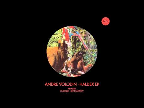 Andre Volodin - Haldex (Original Mix)