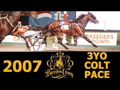 2007 Breeders Crown - Artist's View - 3YO Colt Pace