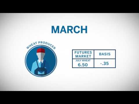 Learn About Basis Grains