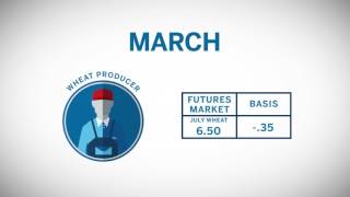 Learn about Basis: Grains