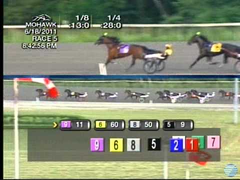 2011 Goodtimes Stakes - theharnessedge.com