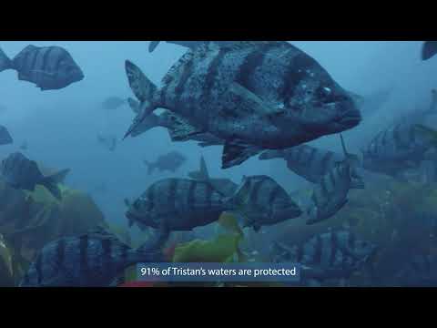 Sustainable fishing in Tristan da Cunha