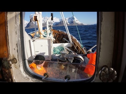 Breisund - Lofoten torskefiske utenfor Hamnøy