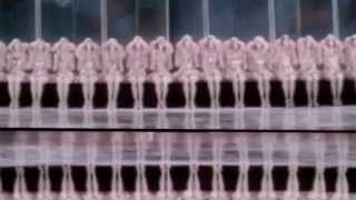 Glam! (Electro-Swing Remix) feat. Dimie Cat