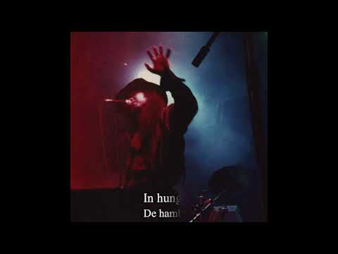 The Angina Pectoris - Disconsolate (Lyrics) [ESP & ENG]