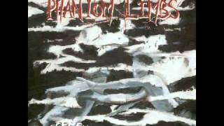 The Phantom Limbs - Romance