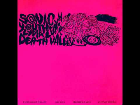 Sonic Youth - Death Valley '69 (feat. Lydia Lunch)