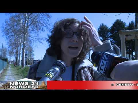 CAFE24 TGPADOVA MARTEDI 26 MARZO 2019