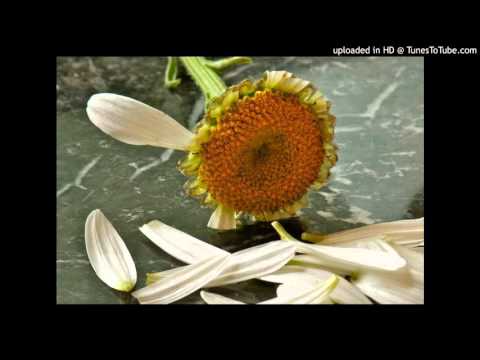 Today's Tango Is... Margaritas - Francisco Canaro 11-10-1929