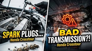 2010 Honda Crosstour Ignition Coils/Spark Plugs and a Shot Transmission.