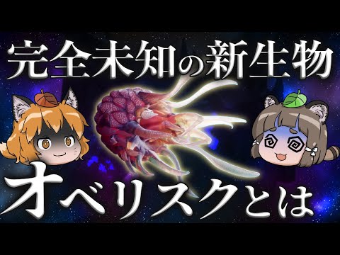 恐ろしい:人間で初めて検出された新しい真菌感染症