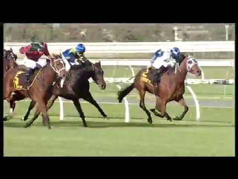 2017 SAJC  Schweppes Oaks