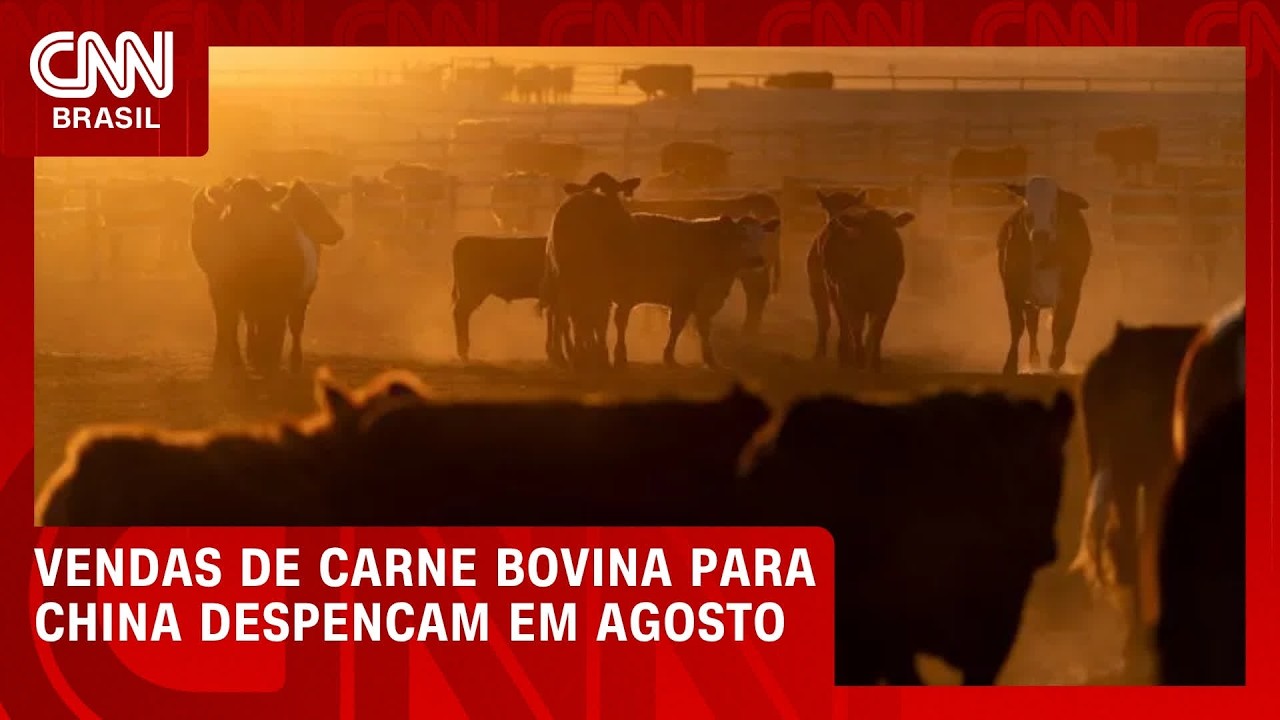 Vendas de carne bovina para China despencam em agosto | CNN AGRO NEWS