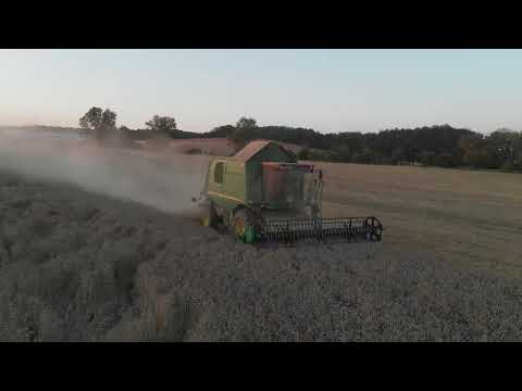 Sklizeň pšenice| Rodinná farma Krty | John Deere W540c, 7530 Premium | Fliegl