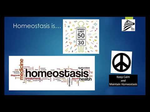 Virtual Summer Conference 2020: Tratamiento para Alergias y Problemas Inmunológicos by Dr. Anne Maitland | Spanish (ES)