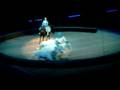 Circus Ponies