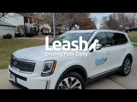 Leash: Pet Taxi & Ride Service