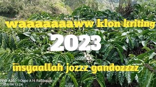 Download lagu klon kriting wawwwww mp3