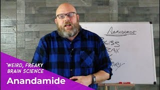 Weird, Freaky Brain Science Anandamide