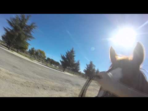NBHA 19 Barrel Race 2-1-15 GoPro