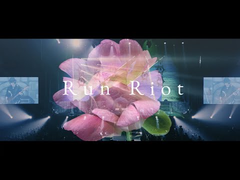 Aimer 「Run Riot」from 10th Anniversary Live in SAITAMA SUPER ARENA "night world” Special Edit