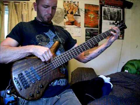 GORATORY-Rice on suede bass