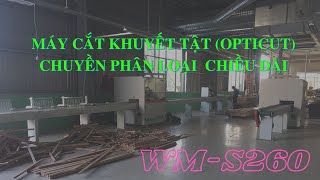 MÁY CẮT KHUYẾT TẬT VẠCH PHẤN, CẮT TÔI ƯU, PHÂN LOẠI PHÔI SAU CẮT (OPTICUT) WM-S260