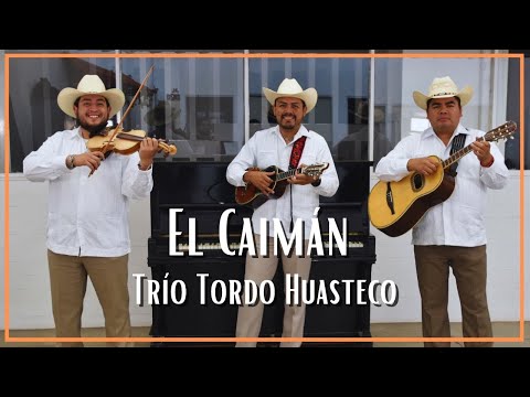 Trío Tordo Huasteco - El Caimán