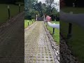 Shake A Boom Boom Boobs