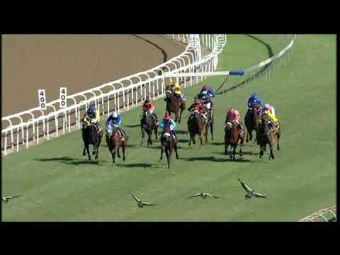 20200620 Hollywoodbets Greyville express clip Race 3 won by THOMAS HENRY